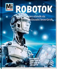 Bernd Flessner - Robotok