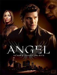 David Greenwalt, Bill L. Norton, James A. Contner, Marita Grabiak, David Grossman, Tim Minear - Angel - 3. évad (6 DVD)
