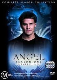 több rendező - Angel - 1. évad (6 DVD) *Antikvár -Kiváló állapotú*