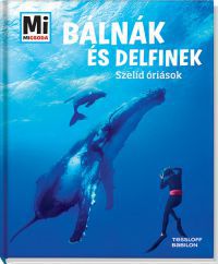 Martin Kaluza - Bálnák és delfinek - Szelíd óriások