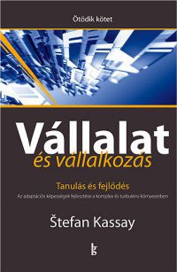 Stefan Kassay - Vállalat és vállalkozás V. kötet - Tanulás és fejlődés