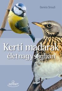 Daniela Strauβ - Kerti madarak életnagyságban