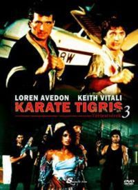 Lucas Lowe - Karate Tigris 3. - Extrakemény Kickboxer (DVD)