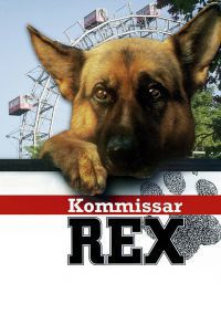 Oliver Hirschbiegel, Hajo Gies, Bodo Fürneisen, Detlef Ronfeldt, Wolfgang Dickmann - Rex felügyelő - 2. évad (4 DVD)