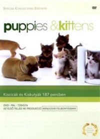 Timm Hendrik Hogerzeil - Kiscicák és kiskutyák (DVD)