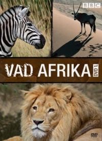 Nem ismert - Vad Afrika 1. (DVD)
