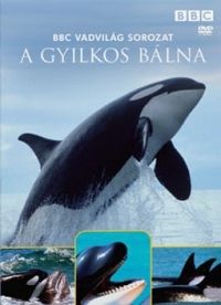 Nem ismert - Vadvilág sorozat - A gyilkos bálna (DVD)