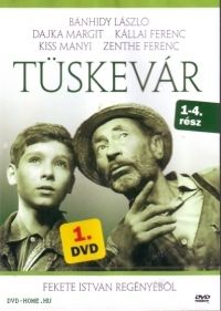 Fejér Tamás - Tüskevár I. (DVD)