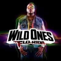  - Flo Rida - Wild Ones (CD)