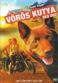 Stenders, Kriv - Vörös kutya (DVD)