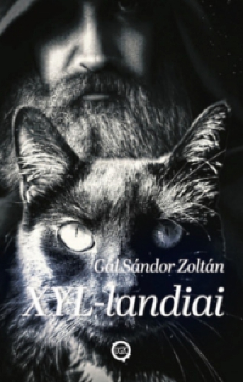 Gál Sándor Zoltán - XYL-landiai
