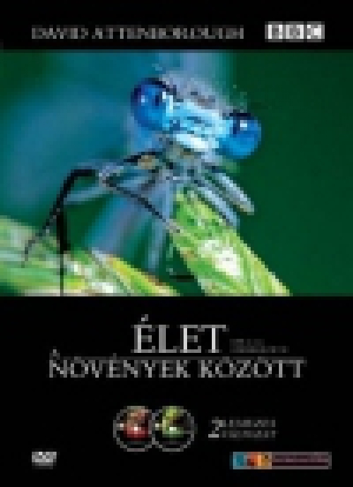 David Attenborough - Élet a növények között (2 DVD) *Antikvár - Kiváló állapotú* 	