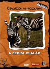 Családok a vadonban: A zebra család (DVD)