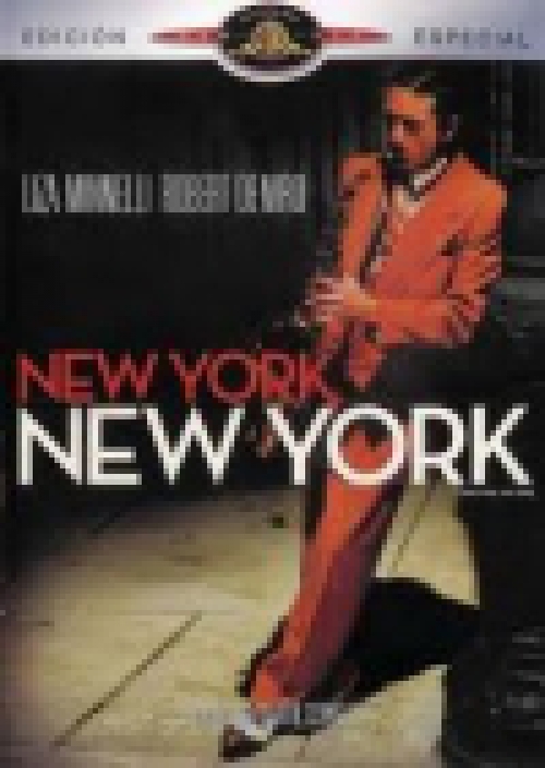 New York, New York (2 DVD) *Antikvár - Kiváló állapotú*