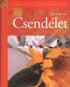 Csendélet