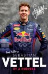 Sebastian Vettel - Út a csúcsra