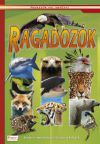 Ragadozók - Képes ismeretterjesztés gyerekeknek