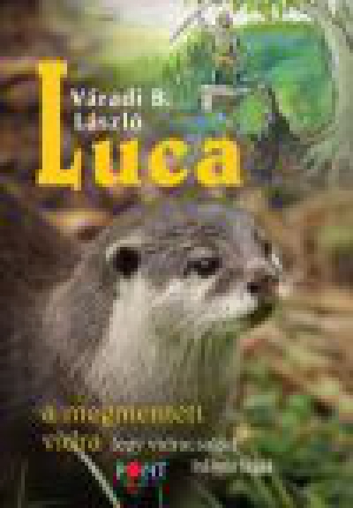 Luca - a megmentett vidra
