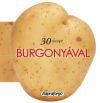 30 recept burgonyával