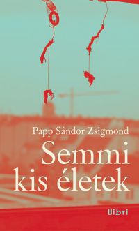 Papp Sándor Zsigmond - Semmi kis életek