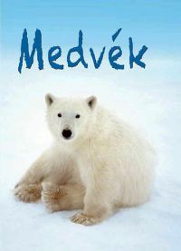  - Kis Könyvtár - Medvék