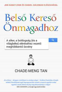 Chade-Meng Tan - Belső Kereső Önmagadhoz