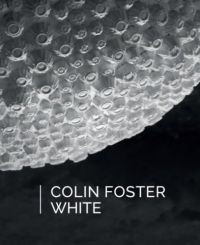 Dr. Ocsovai Dóra (szerk.) - Colin Foster: White