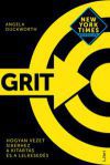 Grit - Hogyan vezet sikerhez a kitartás és a lelkesedés