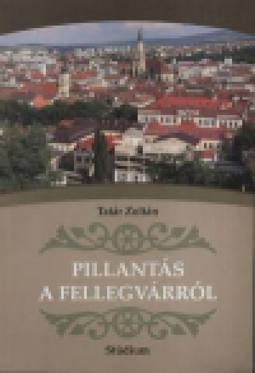 Pillantás a Fellegvárról