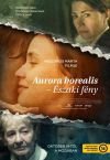 Aurora Borealis: Északi fény (DVD) *Antikvár - Kiváló állapotú*