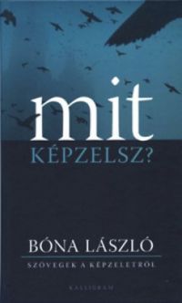 Bóna László - Mit képzelsz? - Szövegek a képzeletről