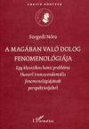 A magában való dolog fenomenológiája