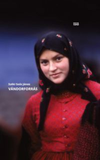 Széki Soós János - Vándorforrás