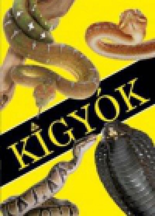 Kígyók