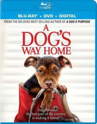 Charles Martin Smith - Egy kutya hazatér (Blu-ray) *Import-Magyar szinkronnal*