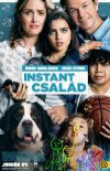 Instant család (DVD)