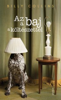 Billy Collins - Az a baj a költészettel