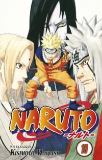 Kisimoto Maszasi - Naruto 19. - Az örökös
