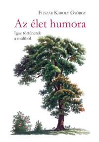 Fliszár Károly György - Az élet humora