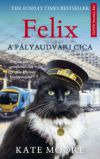 Felix a pályaudvari cica