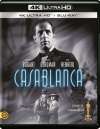 Casablanca (4K UHD + Blu-ray)