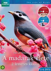 több rendező - A madarak élete 3-4. (2 DVD)