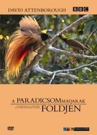 nem ismert - A paradicsommadarak földjén (DVD)