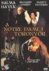 A Notre Dame-i toronyőr (Salma Hayek) (DVD)