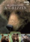 Vadvilág sorozat - A grizzly (DVD)