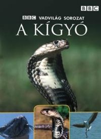Nem ismert - Vadvilág sorozat - A kígyó (DVD)