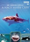 Vadvilág sorozat - A nagy fehér cápa (DVD)