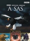 Vadvilág sorozat - A sas (DVD)