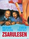 Zsarulesen (DVD) *Antikvár-Kiváló állapotú*