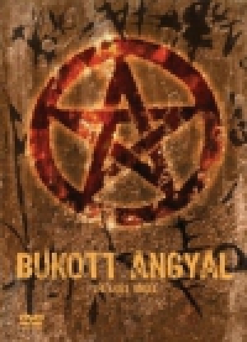 Bukott Angyal (DVD) *Antikvár - Kiváló állapotú* 